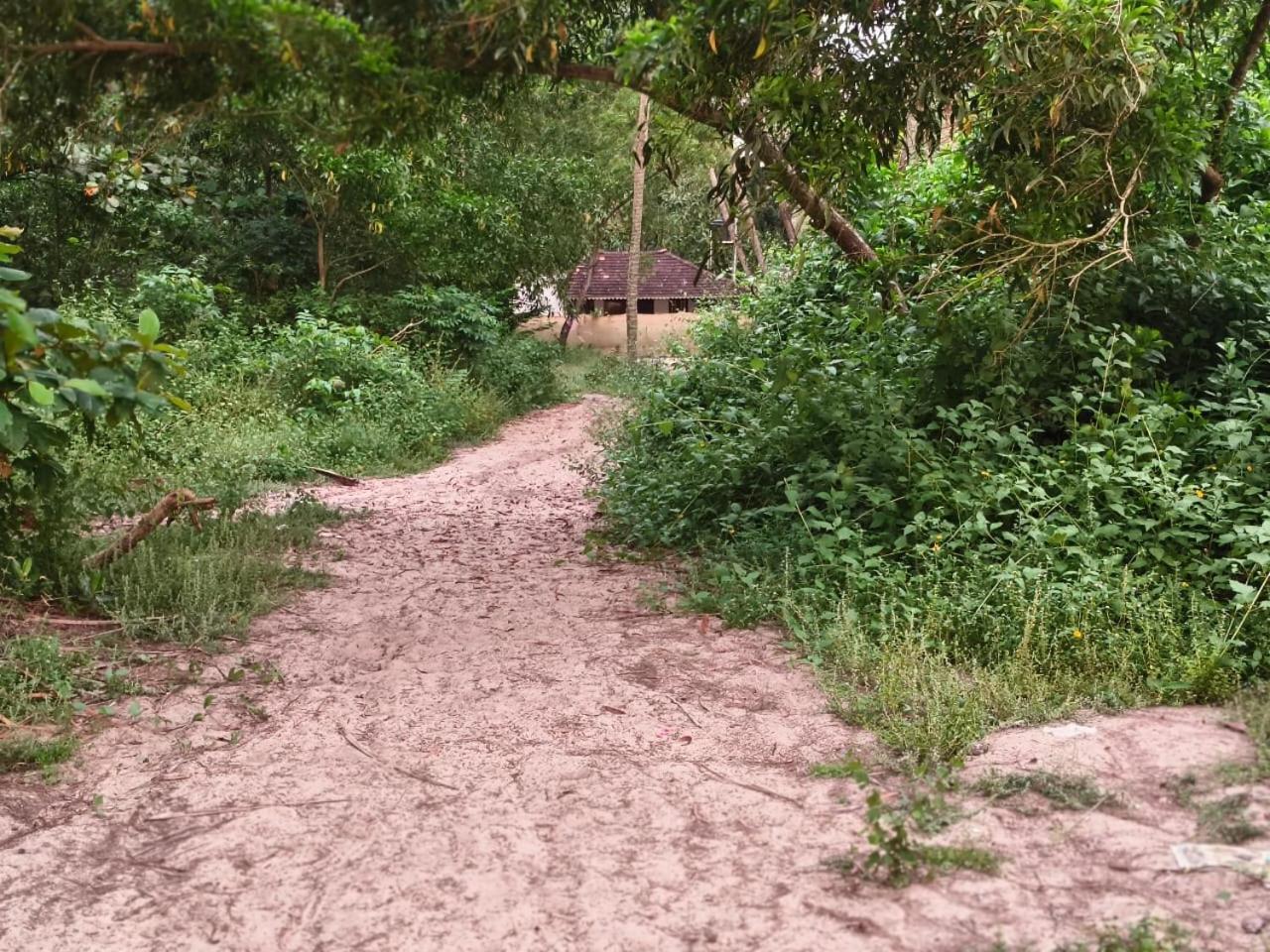 Marrari Felix Home Alappuzha Dış mekan fotoğraf