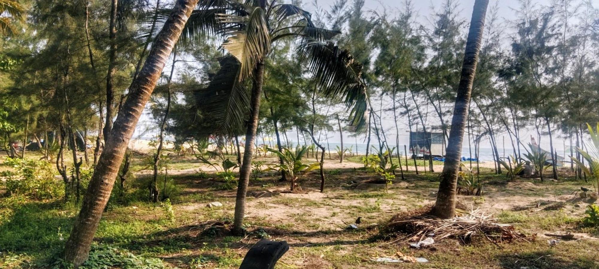 Marrari Felix Home Alappuzha Dış mekan fotoğraf